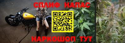 PSILOCYBIN Обь